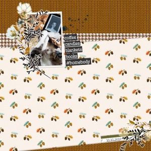 Book Blanket And Cie