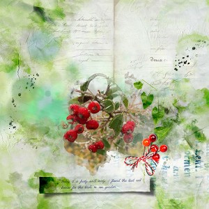 red berries