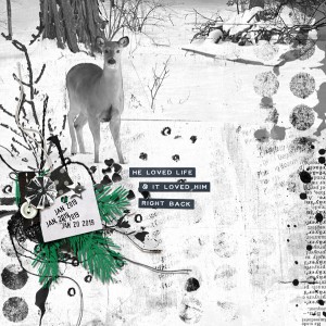 Marilyn_Rachel-Jefferies_2019-12_December_Challenge_Monotone_web