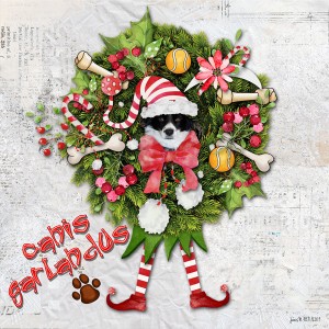 Style_canisgarlandus