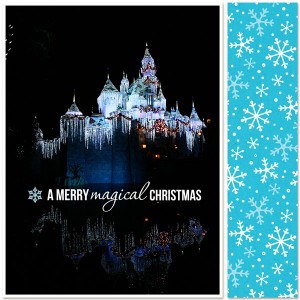 DYD19 11.24 Disneyland Left