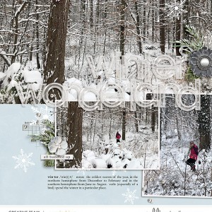 Winter Wonderland