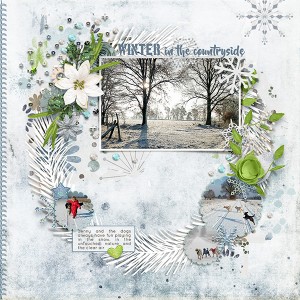 Winter-in-the-countryside