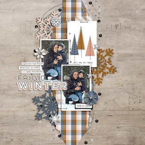 Frigid Winter