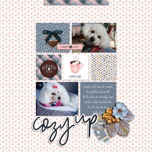 Cozy Up