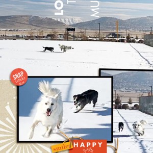 Sahlin Studio Challenge_12-19_Luna-Nova Frolic in Snow