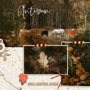 Such a beautifu autumn
