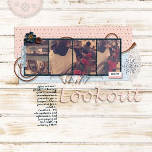 Lookout_SwL_MIS_2019_DEC