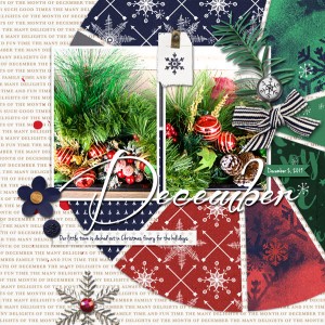 Scrapping-with-Liz_2019-12_December-MIS_web