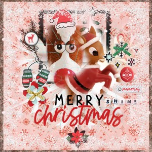 Photography Challenge-December-Photo In Red-Rudolph's Reds
