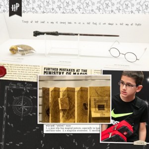 I love Harry Potter