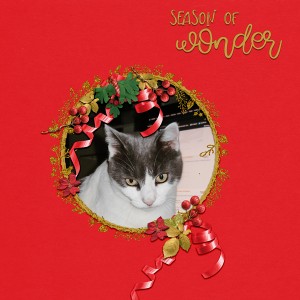 Season of wonder with Nuage