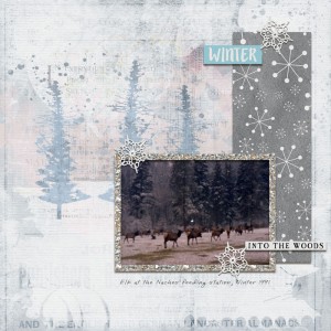Winter-elk