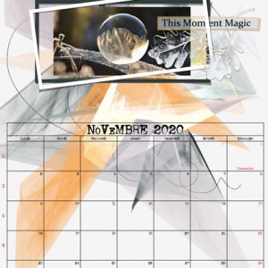 Novembre-2020@