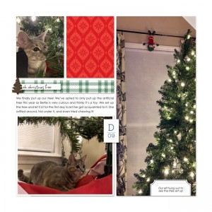 DYD - 9 December 2019