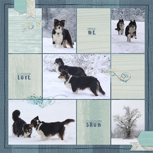 2019_12_lilypad_TemplateChallenge_dogs