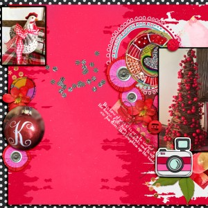 Photography_SeeingRed