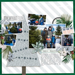 2019-12-7-jones-family-farm-tree-_600web