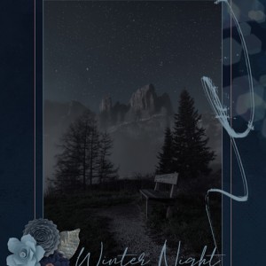 Winter-Night