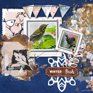 BYOC_winterbirds