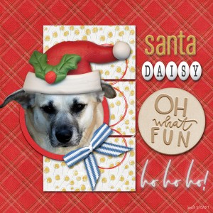 Prd_santa Daisy