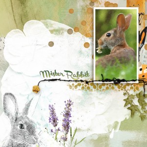 Mister Rabbit