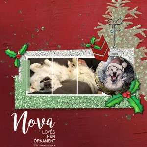 SWL_December Challenge_Nova-Ornament
