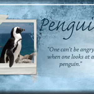 ATC-2019-142-Penguin