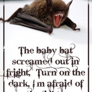 Bats