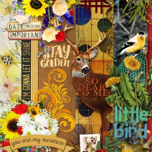 2019-12_December-TLP_AJ_Flora_Fauna_web