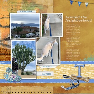 Around-the-Neighborhood