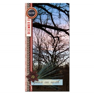 DYD-2019_22_dawn_web