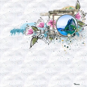 Life on earth