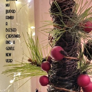 Xmasgreeting-Lilypad
