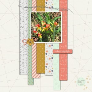 Dec2019 scraplift