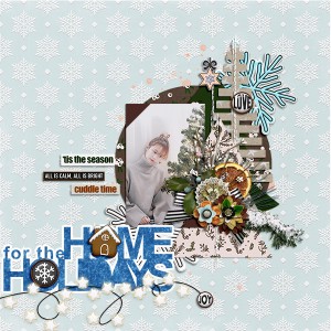 Home for Holidays