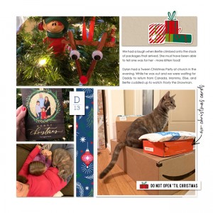 DYD - 13 December 2019