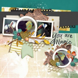 Toucans