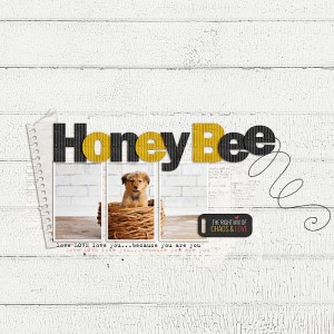 2019.12.28-HoneyBee