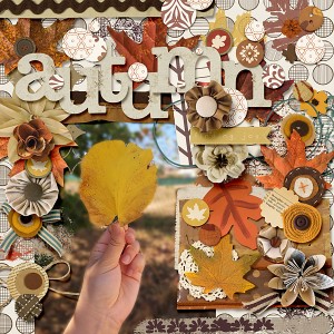 Autumn