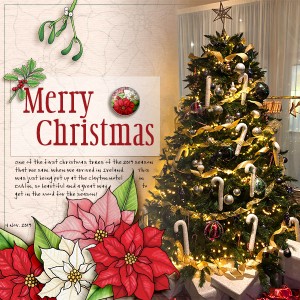 Merry Christmas