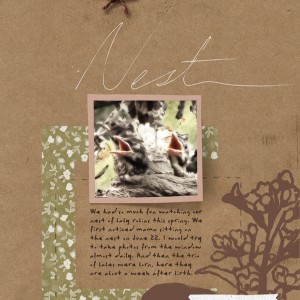 The-Committed-Crafter_2020-01_January_NEW_0101_Kindness-Lab_robins_web