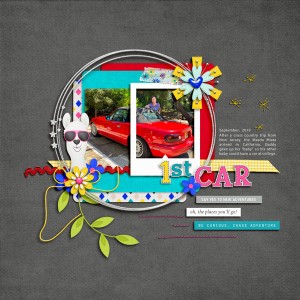 January 1: First Car
