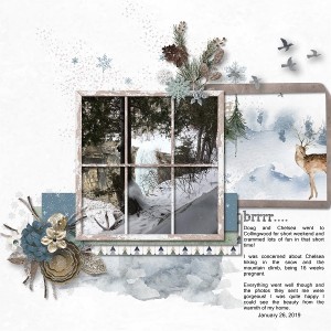 JAN 1 BLIND SCRAP