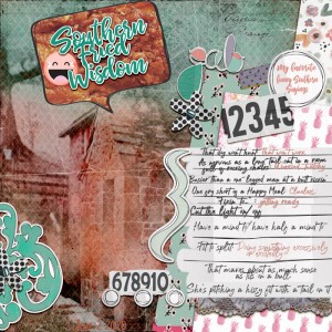 MOC8_Jan2_SouthernFriedWisdom
