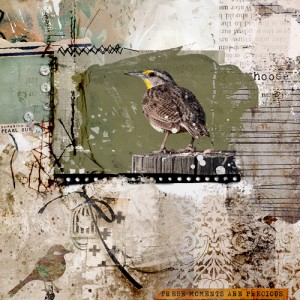 Bird