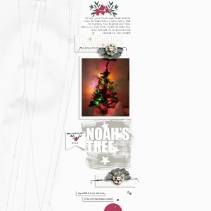 Noah's Tree