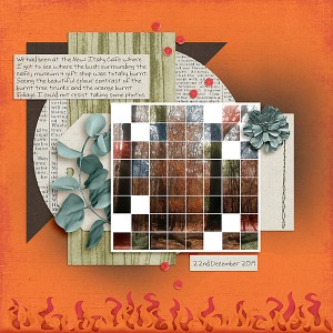 MOC5_GridPhoto_Burnt-Trees
