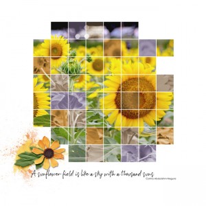 MOC2020 - Day 5: Sunflowers