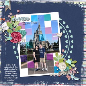MOC8-5, Grid Photo